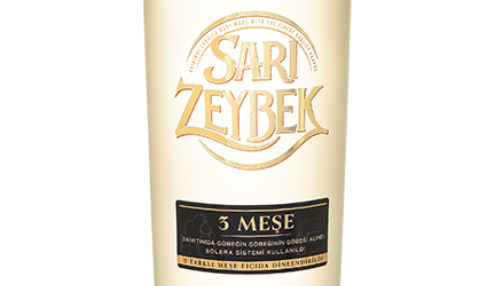 70 CL SARIZEYBEK 3 MEŞE